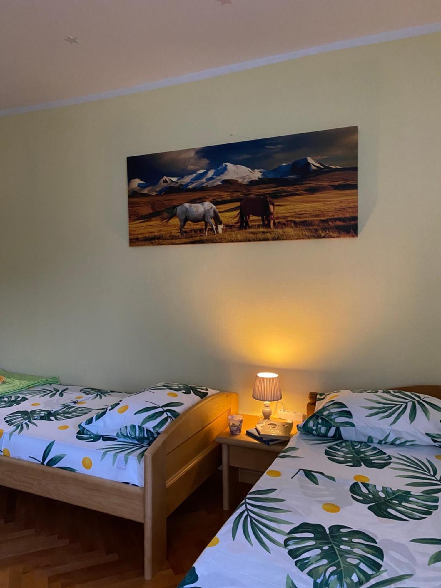 Apartman Sara Плужине Екстер'єр фото